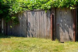 Transform your backyard in into an oasis. How To Clean Up An Overgrown Backyard For A Desired One G H C Blog