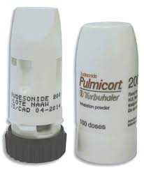 Pulmicort flexihaler and pulmicort respules are usually prescribed only after a rescue inhaler has pulmicort is a pregnancy category c drug, meaning that the benefits of treatment may outweigh the. Pulmicort Inhalation Rosheta