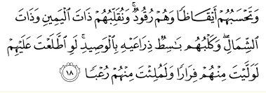 You can also download any surah (chapter) of quran kareem from this website. Kelebihan Surah Al Kahfi Carigold Forum