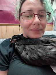 Chicks feathers are curled up. Is that a problem?