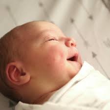 Josh Bernard (@joshbernard_) • Instagram photos and videos