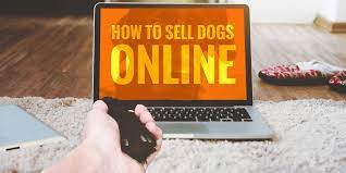 A dog is not just any thing. How To Sell Puppies Online Top Platforms And Selling Tips
