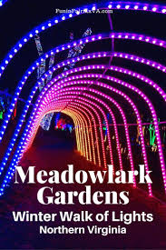 Meadowlark Gardens Winter Walk Of Lights Holiday Fun In Northern Va Virginia Travel Winter Garden Winter Walk