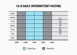 pin on intermittent fasting