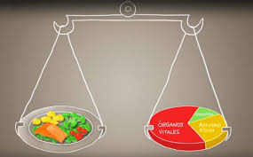 Qué es el equilibrio energético | Gastronomía & Cía