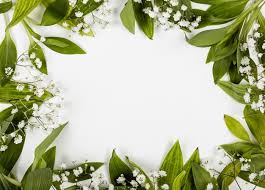 Visualizza altre idee su cornice di fiori, cornici, fiori. Cornice Di Foglie E Piccoli Fiori Bianchi Foto Premium