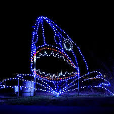 See more of ocean city's winterfest of lights on facebook. See Ocmd Sparkle At Winterfest Of Lights Oc Blog
