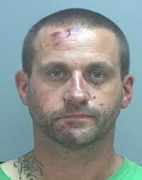 Shooting deaths by police