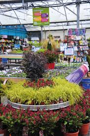 The focus is on customer service and offering quality plants and products with a wealth of expert advice on hand and you can buy plants online today. Growtrade Ireland S Online Source For Latest News And Insight For The Horticulture Sportsturf Parks And Landscape Industries