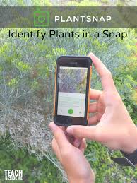 We did not find results for: How To Identify Plants On A Nature Walk Teach Beside Me