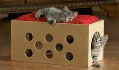 For Cats Only Goruntuler Ile Kedi Malzemeleri Kedi Evi Kedi