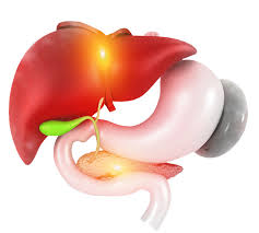 Bariatric surgery source is packed with essential information you need to know before, during and after weight loss surgery. Bariatric Procedures San Jose Laparoscopic Vertical Sleeve Gastrectomy San Jose Los Gatos Ca