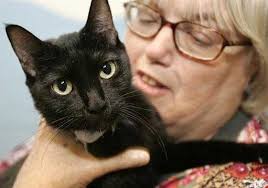 More Katrina Critters