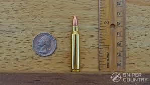 Rifle Calibers Ultimate Guide Sniper Country