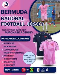 Image result for Bermuda Pink 1972 Kelvinator