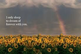 Download Sunflowers Discovered By Linseyschilperoord On We Heart It
