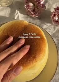 Jiggly 8 Fluffly Japanese Cheesecake Ifunny Japanese Cheesecake Hawaiian Food Cheesecake