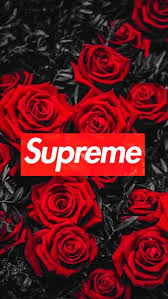 Check spelling or type a new query. Iphone Supreme Wallpapers Broken Panda