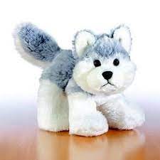 Kody Not The First But The Second Webkinz I Ever Had A Husky Which I Remember Waiting For It To Arrive In The Webkinz Webkinz Stuffed Animals Animal Room