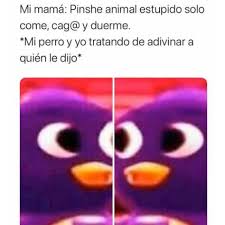 Si te ríes pierdes nivel tik tok 2020 | videos de tik tok de risa. 60 Humor Gracioso En Tik Tok Y Otros Videos Qwq Humor Gracioso Gracioso Memes Divertidos