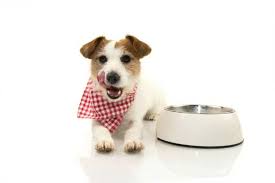 While chewing bones is a favorite pastime for pooches, pork and poultry bones are off the menu. Can Dogs Eat Beans Family Food And Travel