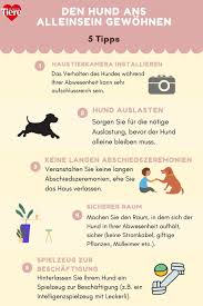 Ihr könnt ihm zum beispiel sein lieblingsspielzeug geben. Typische Anzeichen Dass Der Hund Einsam Ist Herz Fuer Tiere De