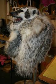 Wildlife Minnesota Trapper Head Hats Mountain Man Mountain Man Trapper Trapper Hats