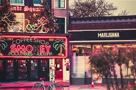 Check spelling or type a new query. Was Ist Der Unterschied Zwischen Einem Coffeeshop Und Einer Abgabestelle Rqs Blog