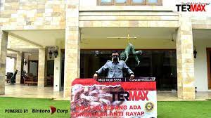 Jasa pembasmi rayap jasa pest control seperti semut, nyamuk, fogging, lalat dan kecoa termax merupakan sebuah perusahaan jasa anti rayap dan jasa pembasmi rayap terbaik. Jasa Anti Rayap Di Bekasi Profesional Dan Bergaransi Termax Pest