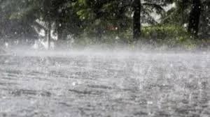 Madhya Pradesh: Light rain likely in some districts in next 24 hours