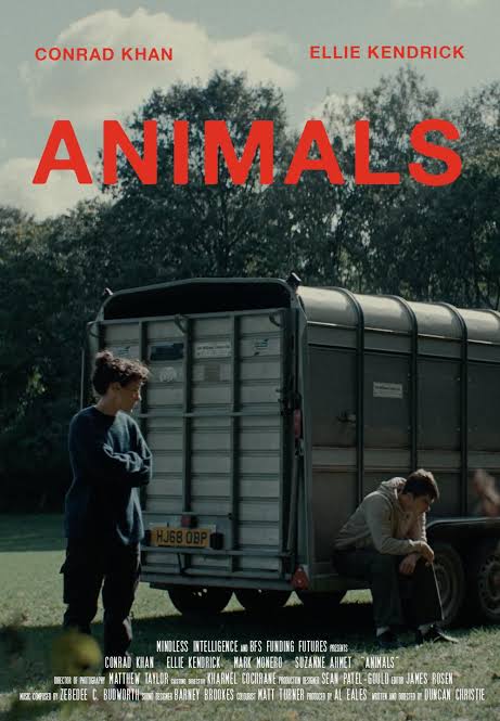Animals 2026