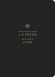 First, stripping away all that is contrary to the new life in christ; Esv Scripture Journal 1 2 Peter And Jude Esv Bibles 9781433562419 Amazon Com Books