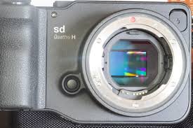 They record this as data on the magnetic stripes. Sigma S Marvelous Sd Quattro H Seeing Reality Barron S