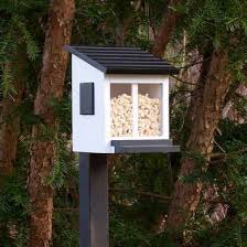 Eichhornchen Futterbox Weiss Wildlife Garden Eichhornchen Eichhornchenfutter Box