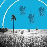 The Presence of Absence (A Cuban Nocturne)