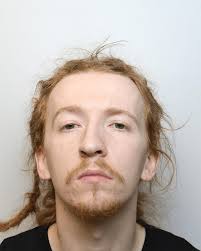 Jail for Swindon burglars