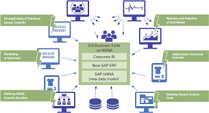 Sap S 4hana And Key Risk Management Components And