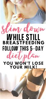 The Ultimate Free Nutrition Plan To Slim Down Fast Lose The Baby Weight Joyful Messes In 2020 Dieting While Breastfeeding Breastfeeding Diet Plan How To Slim Down