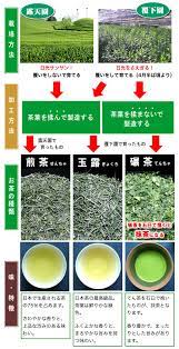 お茶（日本茶・緑茶）の種類 （アニメで学ぶ） 京都・舞妓の茶本舗