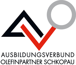 Für die gesamtzahl pro bundesland/landkreis werden die den gesundheitsämtern nach infektionsschutzgesetz gemeldeten fälle verwendet, die dem rki bis zum jeweiligen tag um 0 uhr übermittelt wurden. Corona Stoppt Audits Berufswahl Siegel Sachsen Anhalt