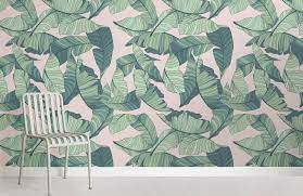 Plant leaf green background pattern greenery organic wallpaper forest foliage grass wood abstract tree water clean landscape design lush beauty color backdrop lifestyle environment light outdoor space spring summer closeup small drop growth fresh many bright healthy park greenleaf assort beautiful. Pink Green Tropical Leaf Wallpaper Mural Hovia