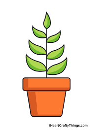 Jun 07, 2021 · as she moves across the host plant, look for the tiny specks she leaves behind. Plant Drawing How To Draw A Plant Step By Step