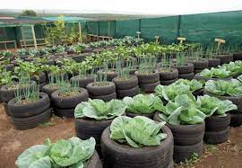9 Genius Ways To Use Old Tires Around Your Home Vegetable Garden Design Veggie Garden Tire Garden