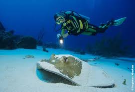 Voir plus d'idées sur le thème méditation, musique de méditation, musique relaxante. News Tobago Yoga Diving Pure Relaxation For The Soul Extra Divers Worldwide