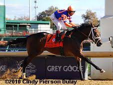 2010 Breeders Cup Juvenile Results