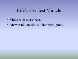 Bellwork Domestic Horses Have 64 Chromosomes How Many Chromosomes Should Be In An Egg Cell Of A Female Horse A 16 B 32 C 64 D Ppt Download