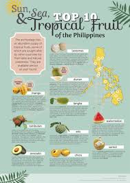 The Top 10 Tropical Fruit Of The Philippines Poster