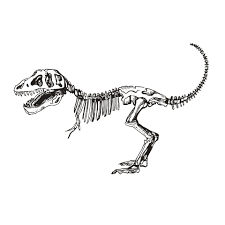 Grab their favourite toy dinosaurs, some water balloons and a drop or two of food colouring. Artstation Set Of Dinosaur Skeleton Sketches Triceratop Velociraptor Tyrannosaurus Aliaksandra Morkhat