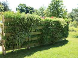 Brise Vue Vegetal Cachez Au Naturel Brise Vue Vegetale Brise Vue Brise Vue Jardin