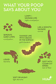 Image result for dark black stool human poop